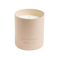 Ароматическая свеча Wellmark "Echoes of Kindness"- Ecru бежевый